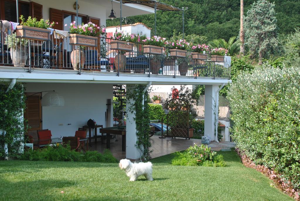 Casa Vacanze Villa Antonella By Gocce Vico Equense Zewnętrze zdjęcie